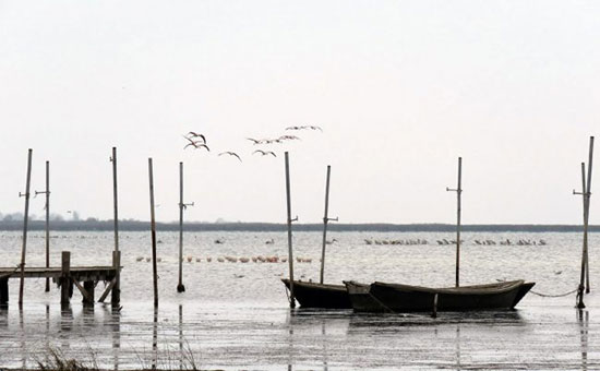 آشوراده بسیار دیدنی است