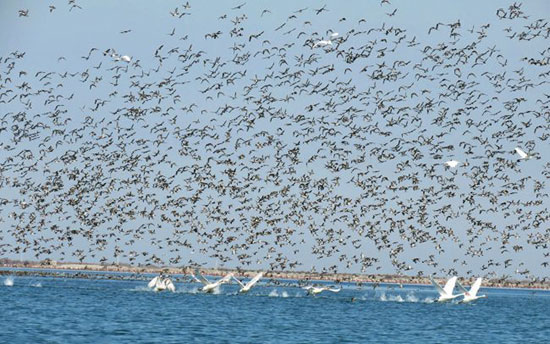 آشوراده چه دیدنی هایی دارد