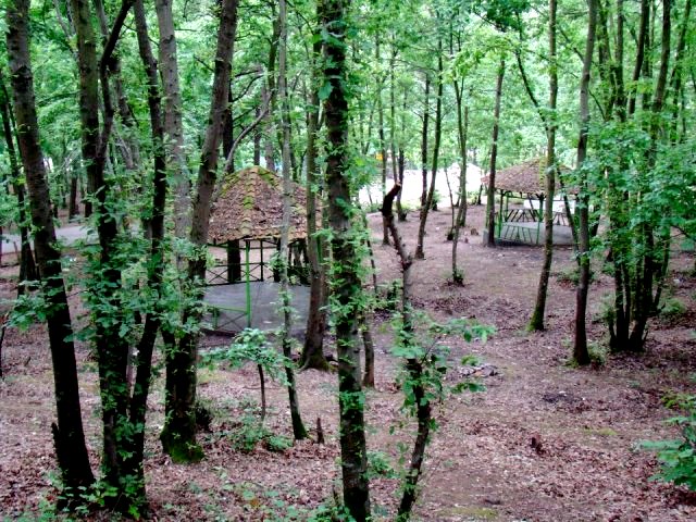 پارک جنگلی سراوان از مناطق دیدنی شهر رشت است