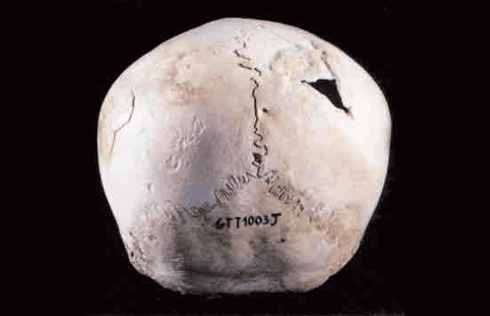 شهر سوخته چه عجایب وشگفتی هایی دارد