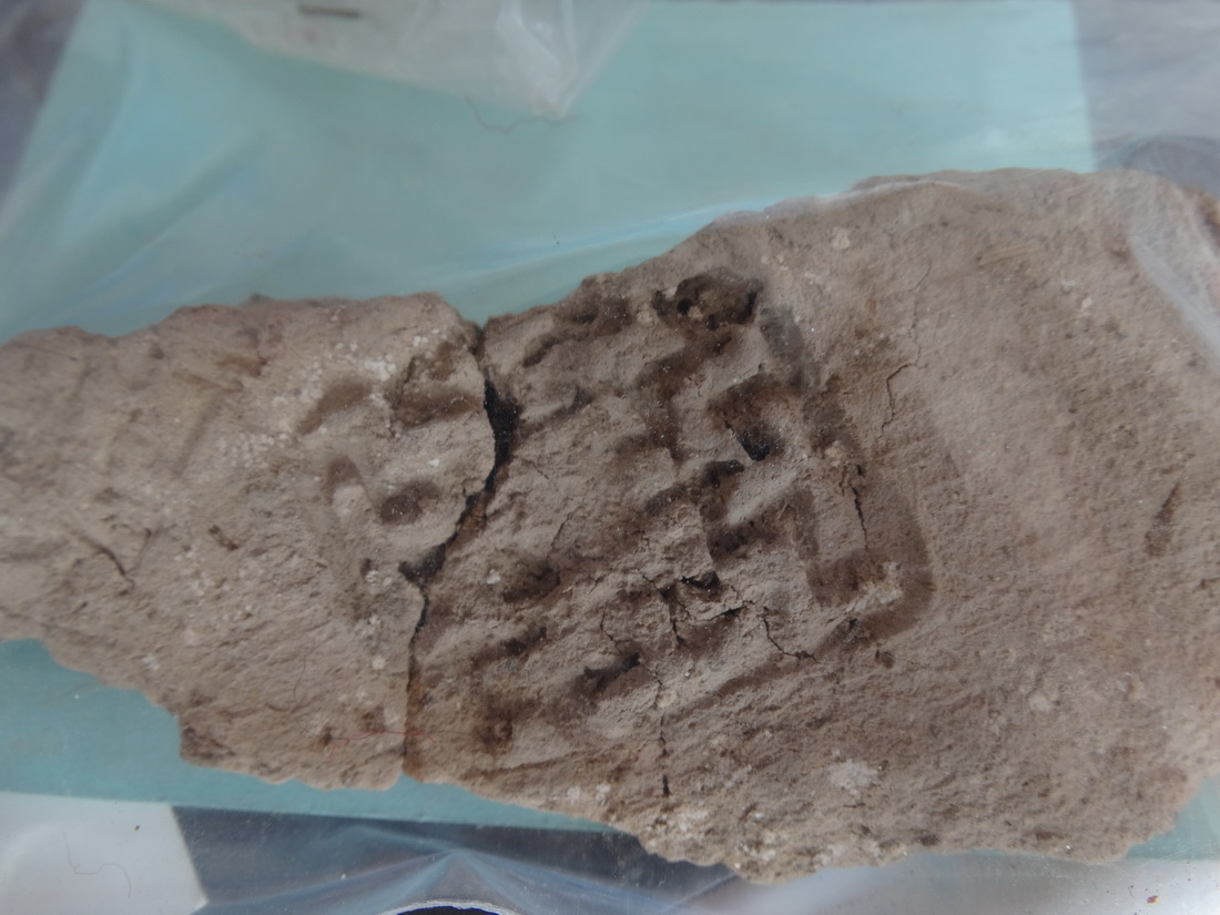 کاوش ها در شهر سوخته چه نتایجی داشته است