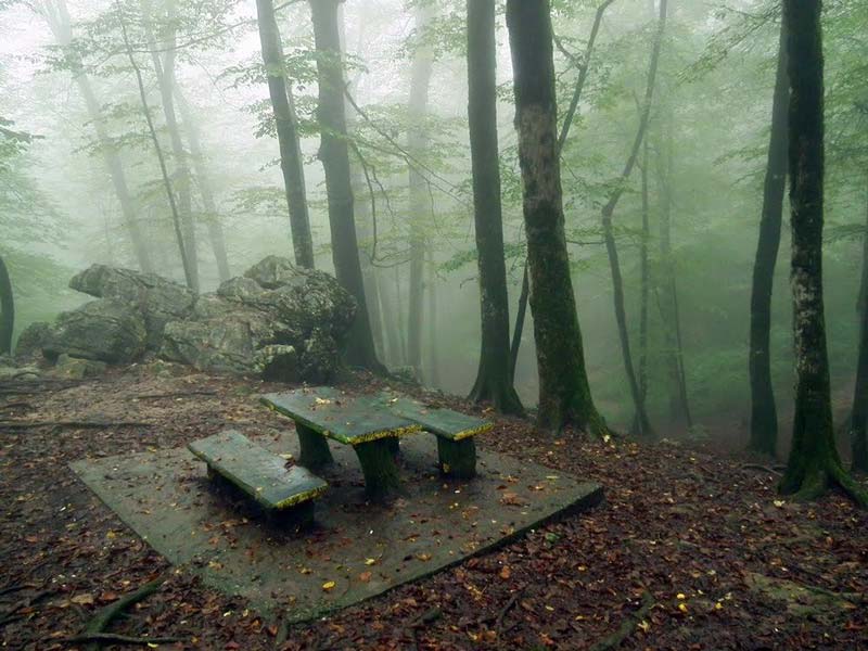 پوشش گیاهی نمک آبرود