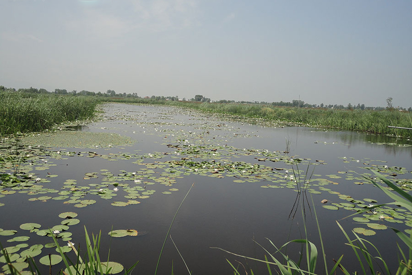 چمخاله جاهای دیدنی زیادی دارد
