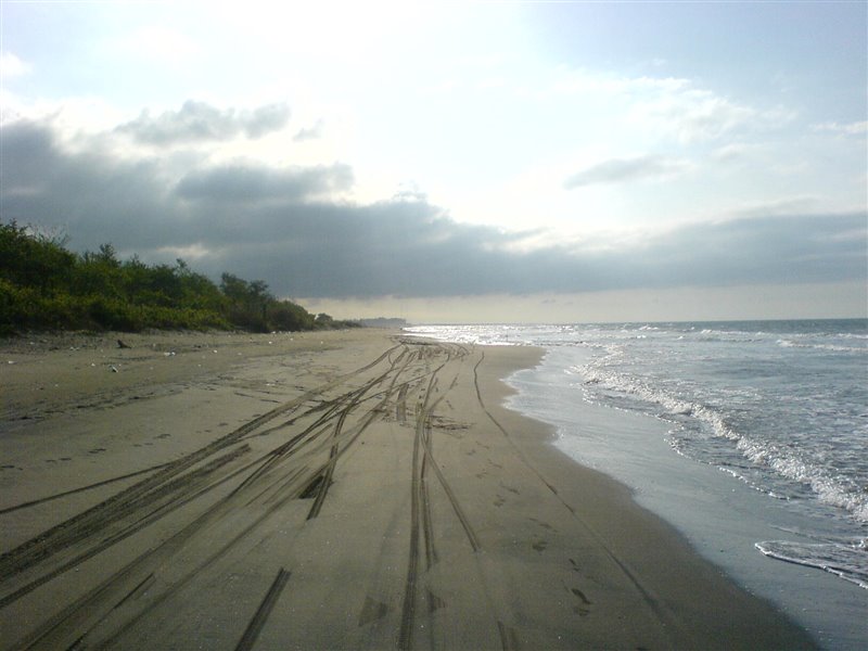 با مکان های تفریحی شهر چمخاله آشنا شوید