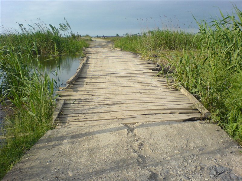 در شهر چمخاله به کجاها برویم