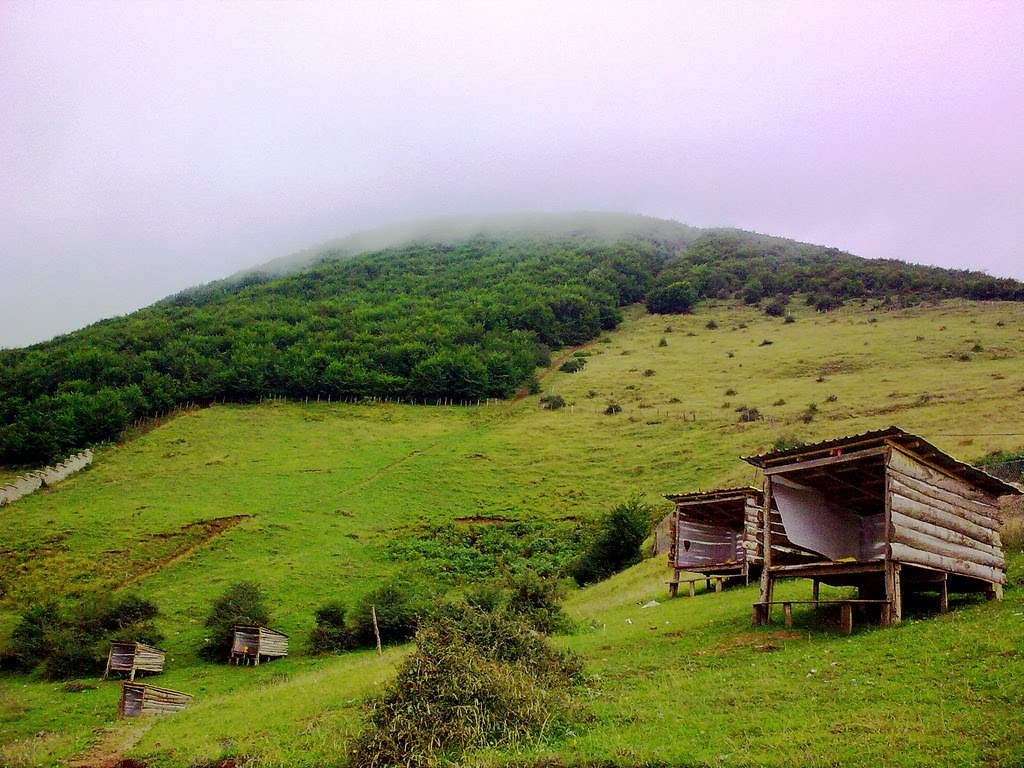 راهنمای سفر به کلاردشت را بخوانید