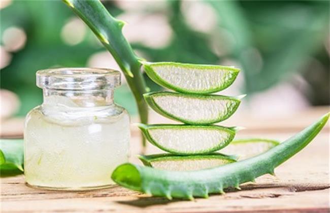 آلوئه ورا به زیبایی گونه های شما کمک می کند