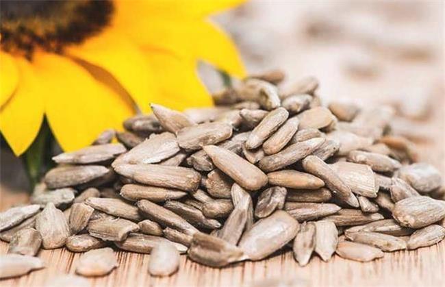 دانه آفتابگردان برای حفظ رطوبت پوست مفید است