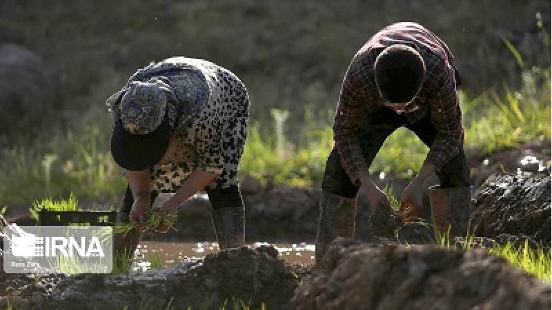زندگی اهالی روستای برندق استان اردبیل چگونه است