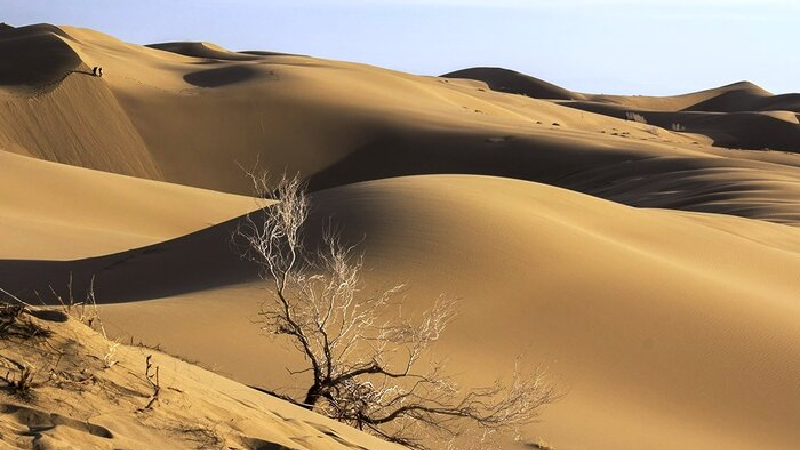 کویر خارتوران کجا است و چرا به آفریقای ایران شهرت دارد