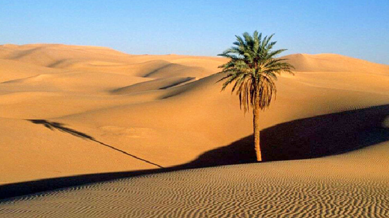 سفر به روستای مصر ؛راهنمای کامل و تاریخچه