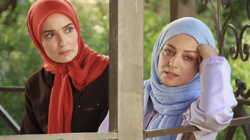 معرفی کامل سریال ماه و پلنگ ؛خلاصه داستان ، بازیگران