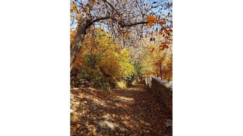 روستای برگ جهان ؛مقصد مناسب برای سفر یک روزه به اطراف تهران