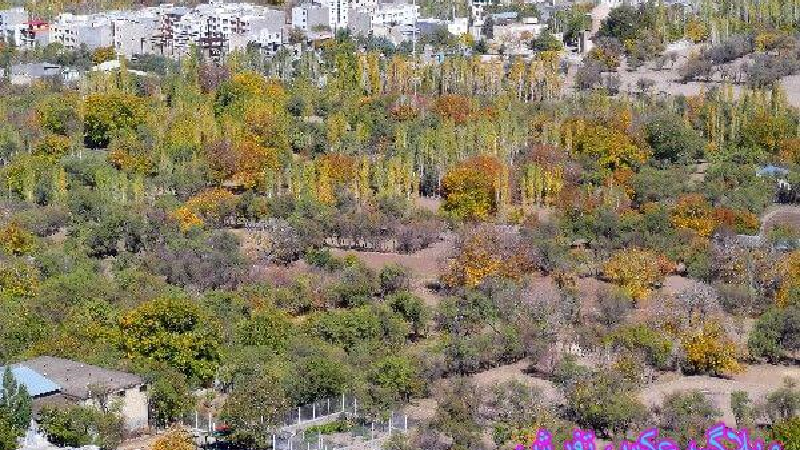 تفرش؛پیشنهاد ویژه برای سفر در پاییز