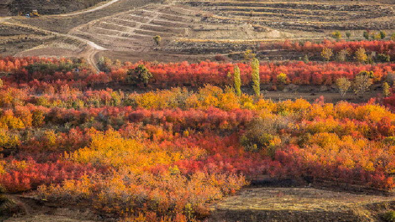 قزوین؛ پیشنهادی برای سفر پاییزی
