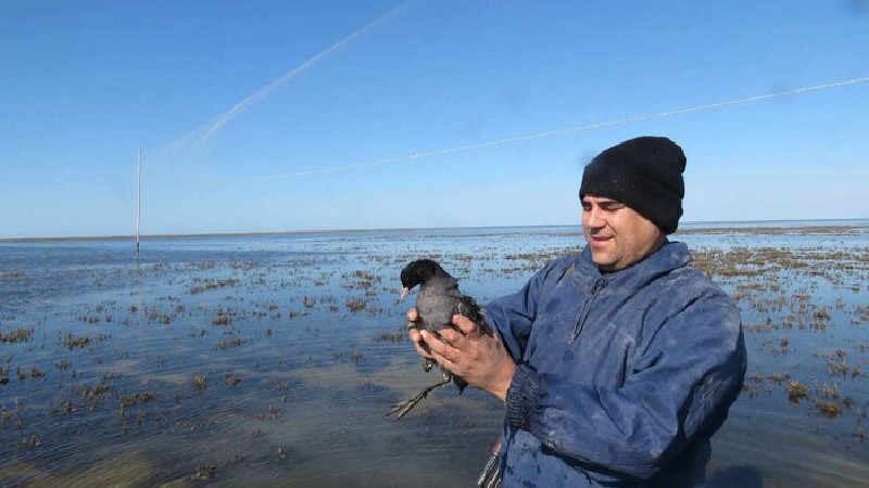 دریاچه توشن از دیدنی‌های گرگان