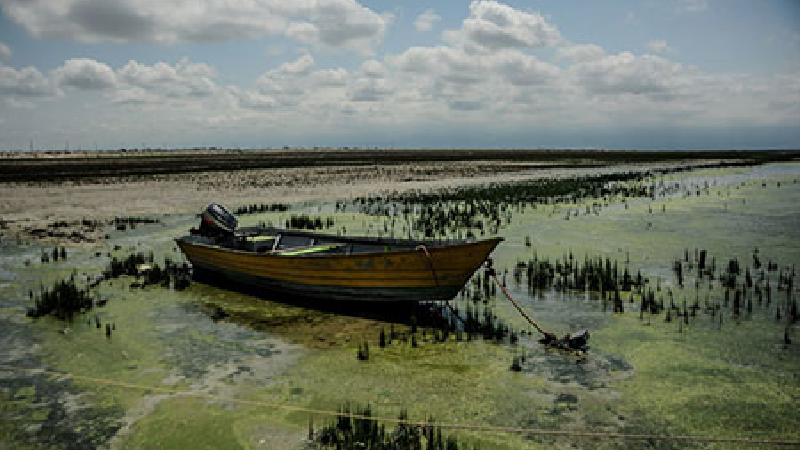 حتما به تماشای خلیج گرگان بروید