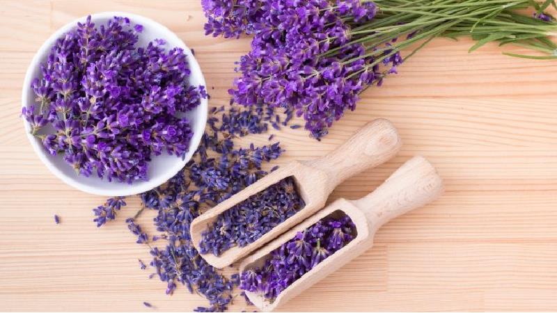 با خاصیت‌های اسطوخودوس در طب سنتی آشنا شوید