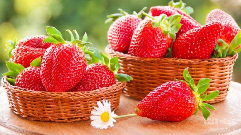 توت فرنگی از سرطان پیشگیری می‌کند