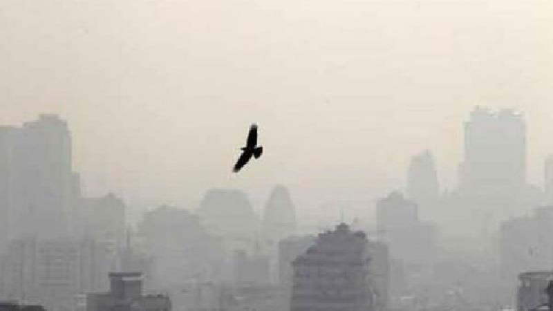 آلودگی هوا؛ عوارض و بیماری‌ها/ چگونه از بیماری‌های هوای آلوده در امان بمانیم