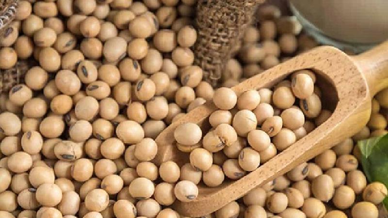 تاثیر سویا روی باروری مردان