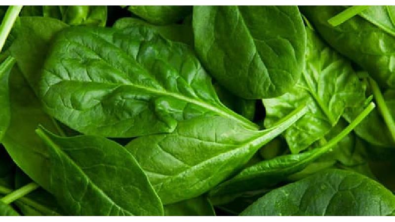 تاثیر اسفناج در باروری