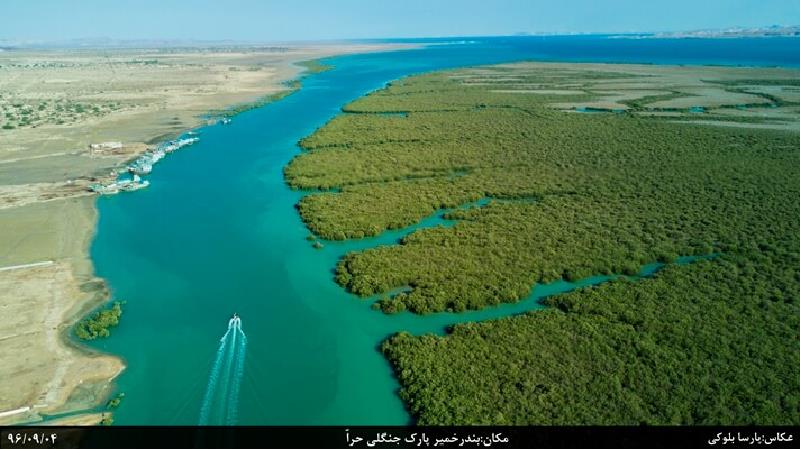 جنگل‌های حرا؛ از دیدنی‌های بی‌نظیر بندر خمیر