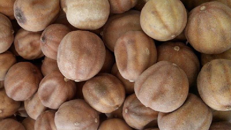 لیمو عمانی برای چی خوب است