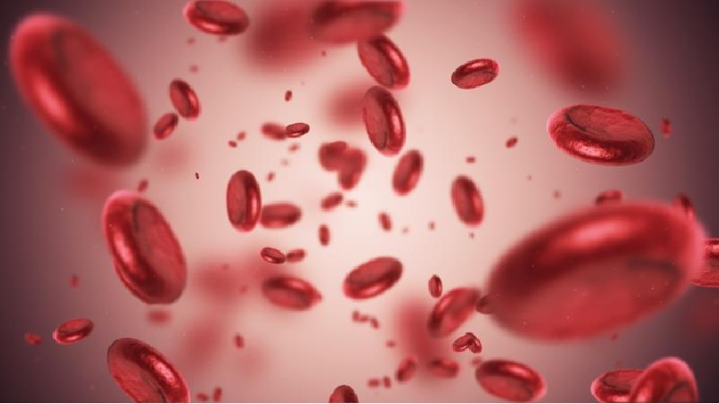 علت‌های کم خونی چیست