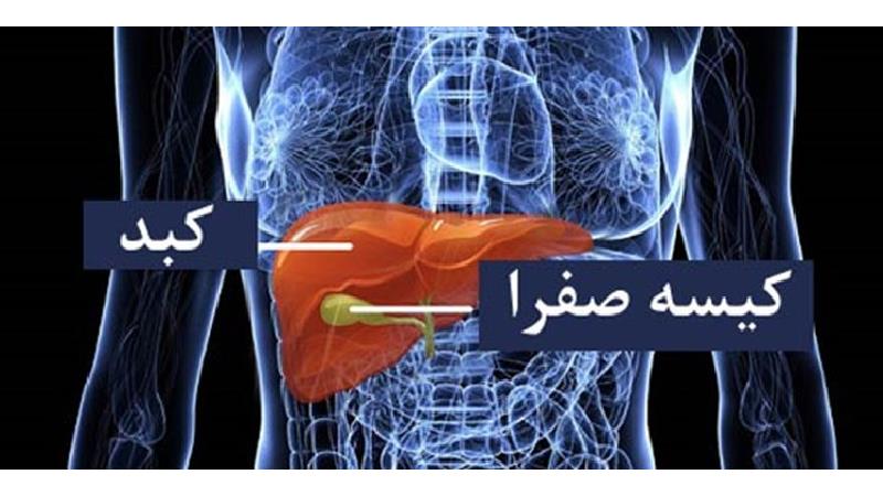 سنگ کیسه صفرا چرا ایجاد می‌شود