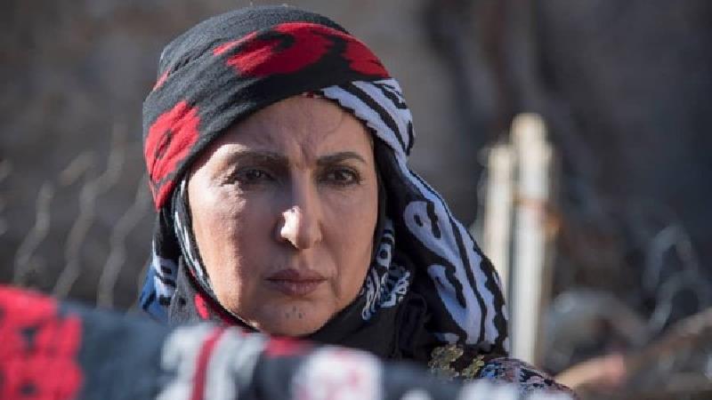 فاطمه گودرزی در سریال ایل دا