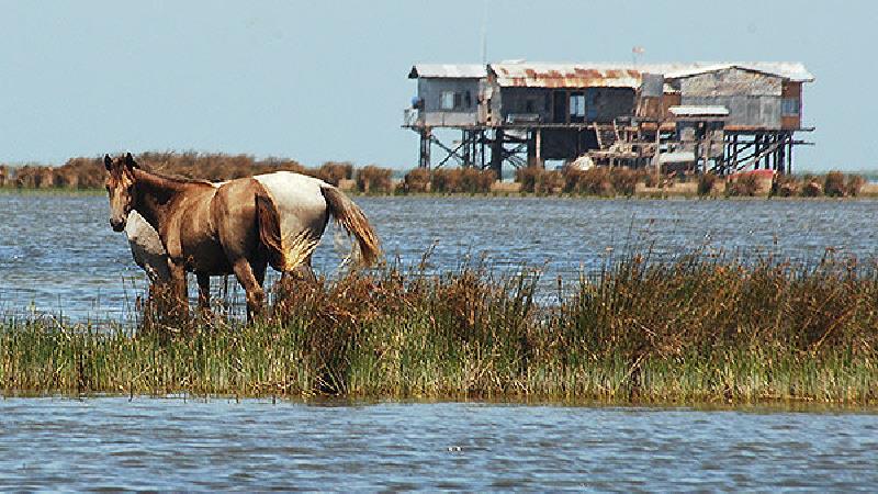 در زمستان به جزیره آشوراده سفر کنید