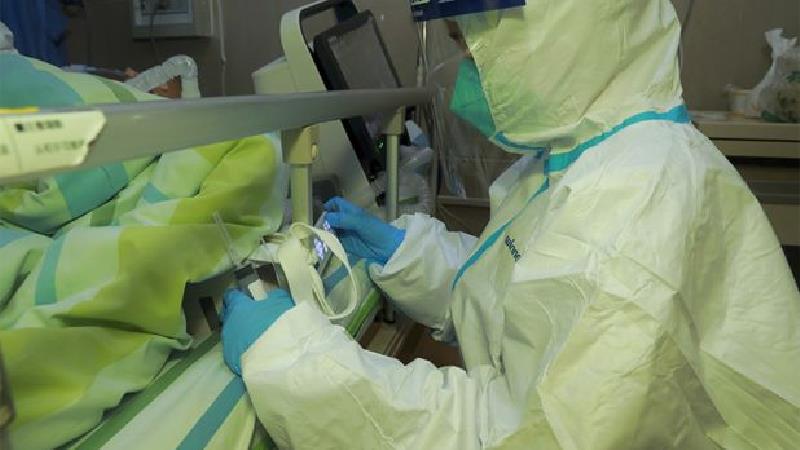 آیا خفاش عامل شیوع ویروس کرونا است؟