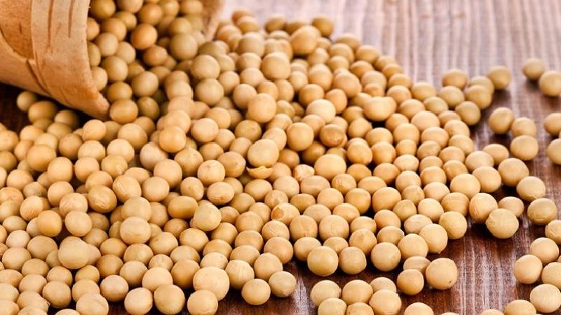 کم کردن کلسترول با سویا و فرآورده‌های آن