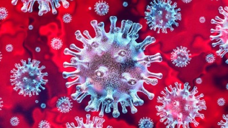 ویروس کرونا چیست