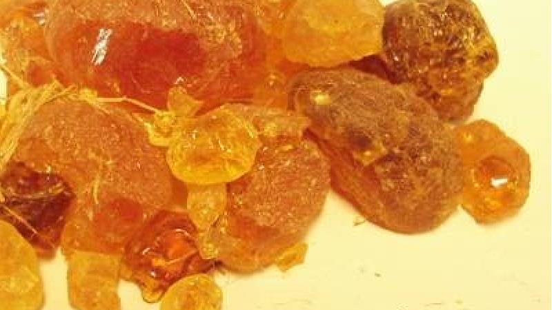 مصطکی، (Mastic) شیره زرینی زرد رنگی است که در فارسی به نام‌های: «رماس»، «رماست»، «کِیَه» خوانده شده است.