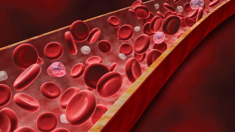 تالاسمی یکی از بیماری‌های ژنتیکی یا اختلال خونی است،