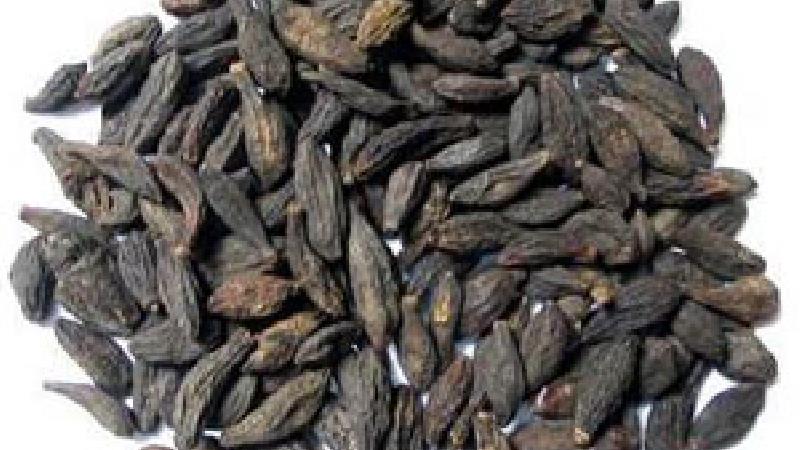 هلیله سیاه فایده های زیادی دارد