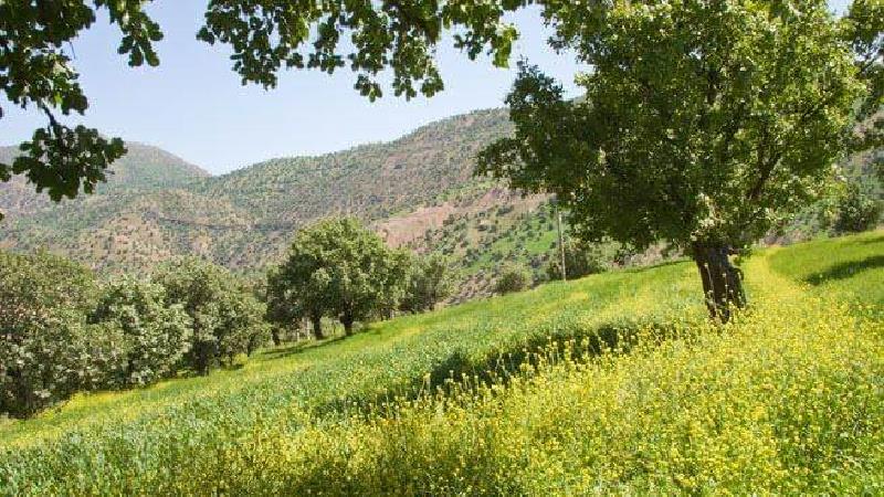 دلیل نام گذاری دشت هلن چیست