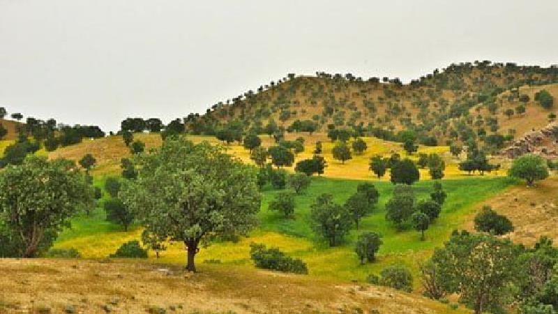 دشت هلن در استان چهار محال و بختیاری واقع شده است