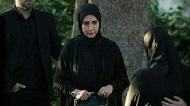 مرجانه گلچین در سریال پرگار