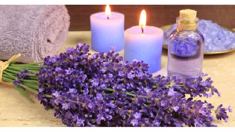 روغن اسانس اسطوخدوس چه خاصیت هایی دارد