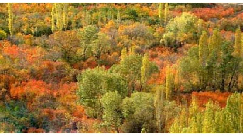 چگونه به بخش آسارا سفر کنیم