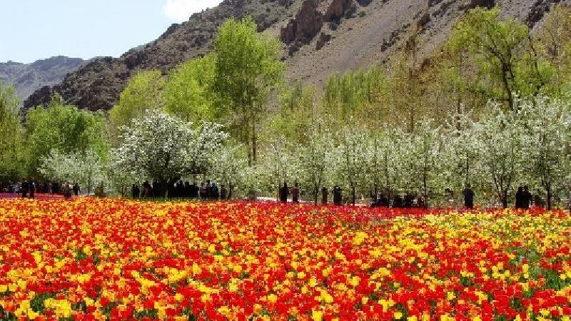 از زیبایی های آسارا لذت ببرید