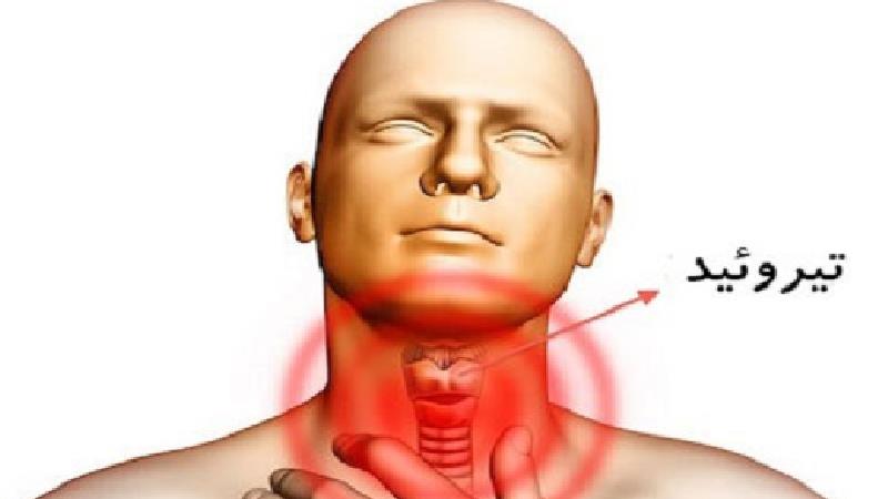 تیروئید چه کاری در بدن انجام می دهد