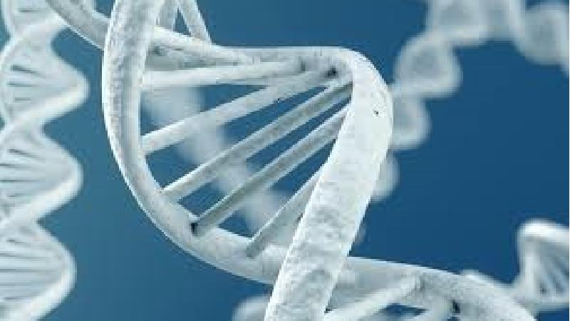 بررسی ازدواج های فامیلی از نظر علم ژنتیک