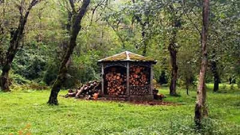 پارک جنگلی چالدره منطقه ای بکر و تماشایی است