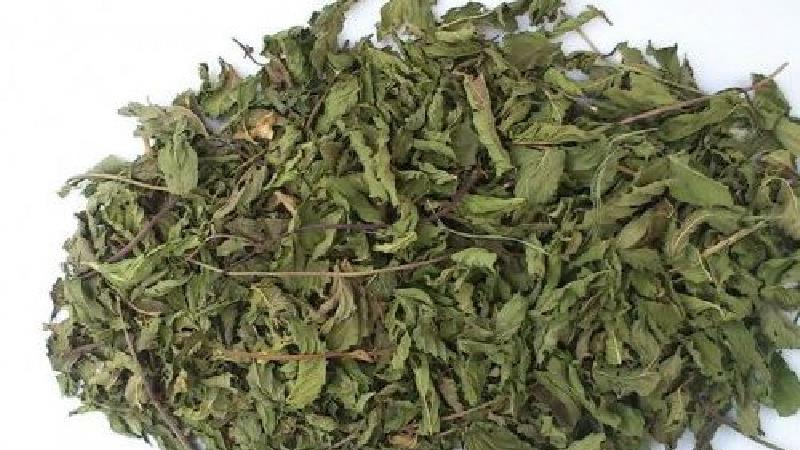 نعناع دستگاه گوارش شما را ریلکس و آرام می‌کند