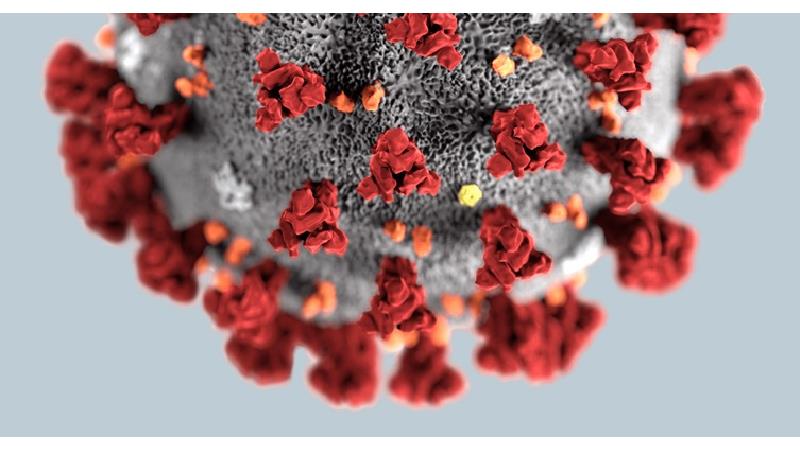 تلاش ها برای ساخت داروی کرونا ادامه دارد