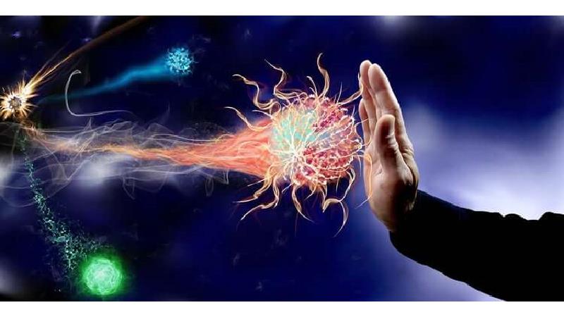 چگونه سیستم ایمنی بدن خود را تقویت کنیم